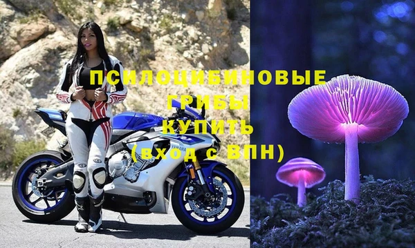 ALPHA-PVP Алексеевка