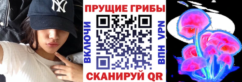 Псилоцибиновые грибы Magic Shrooms Пенза